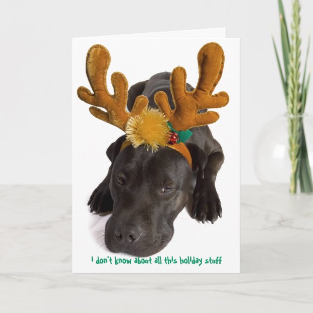 i don't know about all this holiday stuff card (Front)