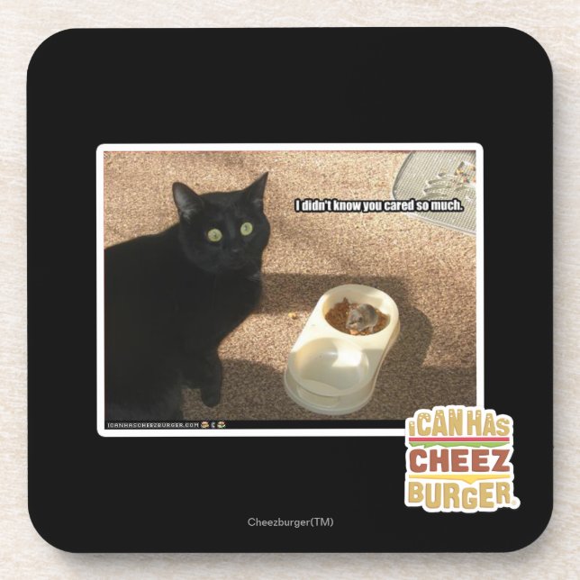 I don't know you cared coaster (Front)