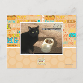 I don't know you cared postcard