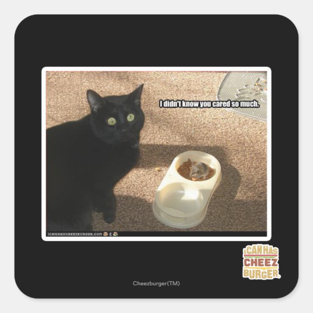 I don't know you cared square sticker (Front)