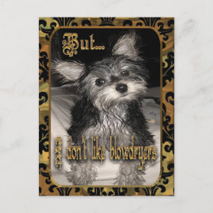 I don't like hairdryers Yorkie Postcard