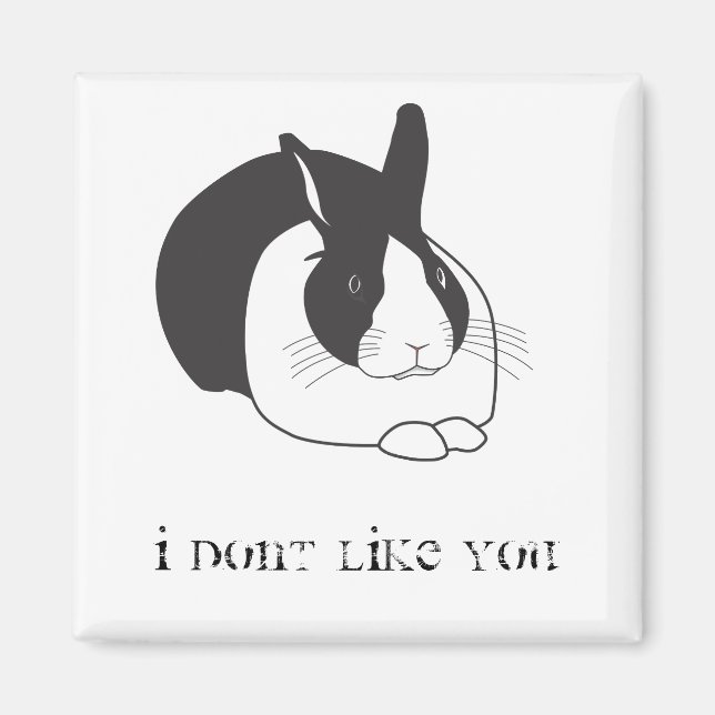 I don't like you magnet (Front)