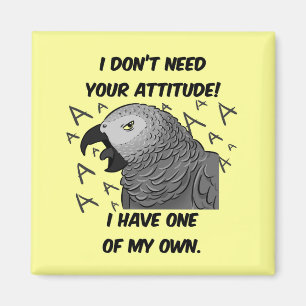 I don't need your attitude african grey parrot magnet