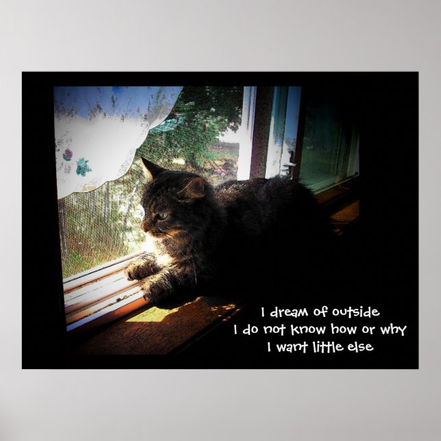 I Dream of Outside haiku Poster (Front)