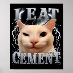 I Eat Cement Silly Cat Meme Funny Men Women Kids G Poster