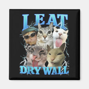 I Eat Dry Wall Funny Cat Meme Magnet