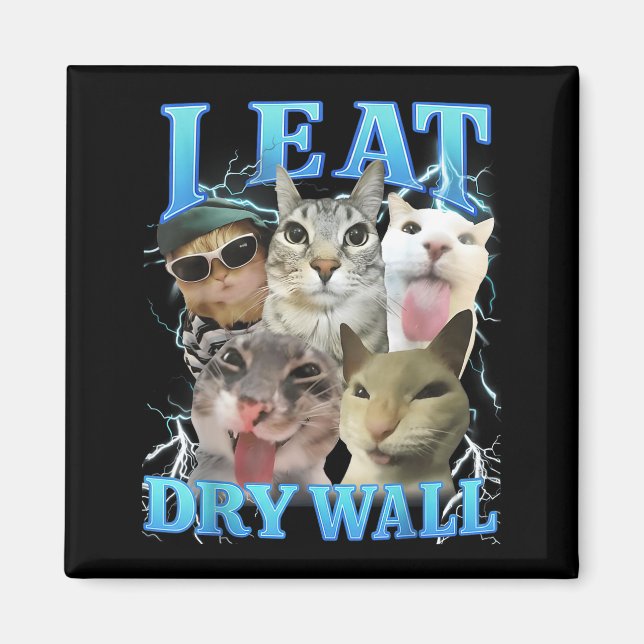 I Eat Dry Wall Funny Cat Meme  Magnet (Front)