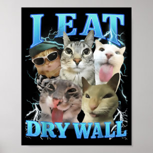 I Eat Dry Wall Funny Cat Meme  Poster