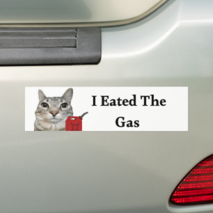 I Eated The Gas   Funny Cat Meme Sticker