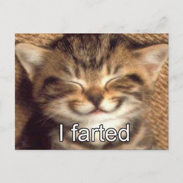 I farted kitten postcard (Front)
