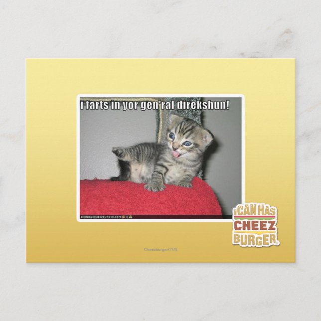 I farts in yor gen'ral direkshun postcard (Front)