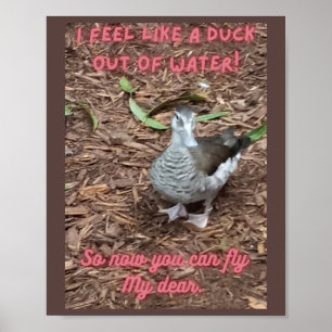 I feel like a duck out of water inspirational poster