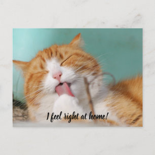 I feel right at home new pet announcement postcard