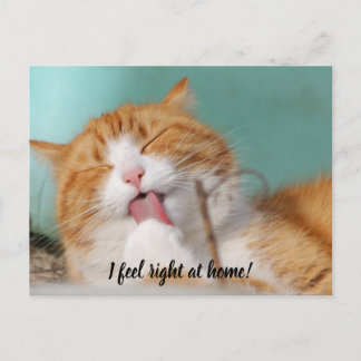 I feel right at home new pet announcement postcard