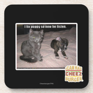 I fix puppy coaster