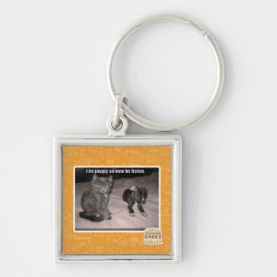 I fix puppy key ring