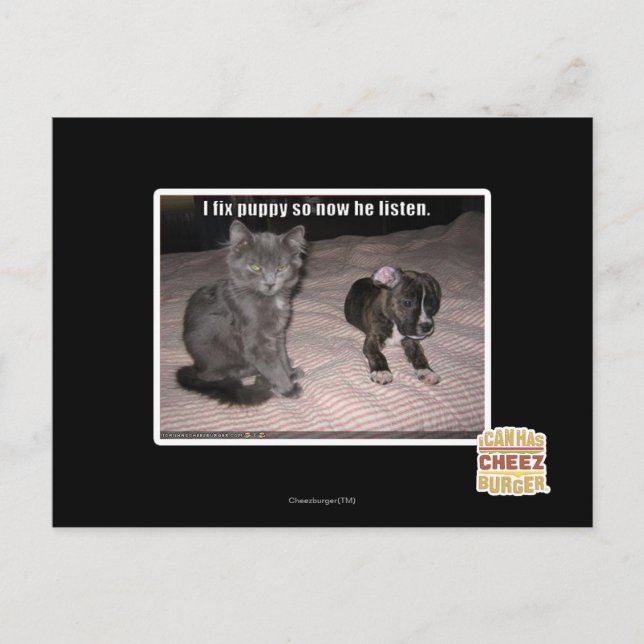 I fix puppy postcard (Front)