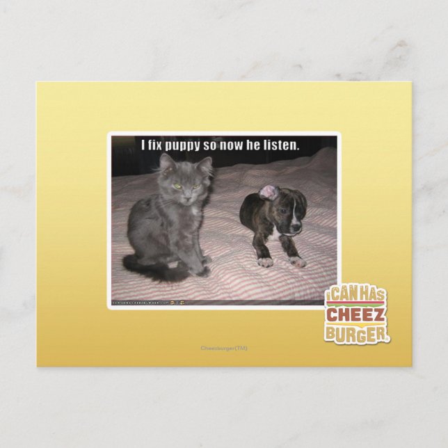 I fix puppy postcard (Front)