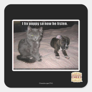 I fix puppy square sticker
