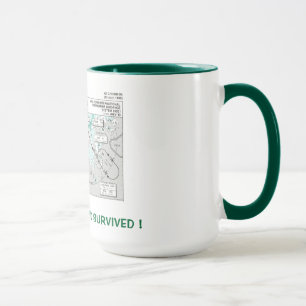 I Flew the IGS ... and Survived ! Mug
