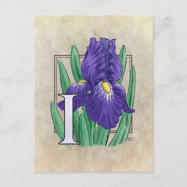 I for Iris Flower Monogram Drawing Postcard (Front)