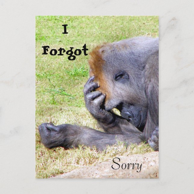 I Forgot, I'm Sorry, I Forgot, Sorry Postcard (Front)