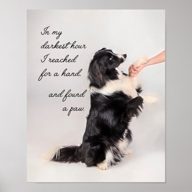 I Found a Paw Poster (Front)