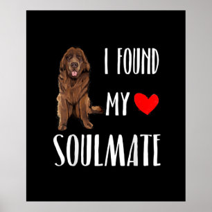 I Found My Soulmate Newfoundland Dog Lover Poster