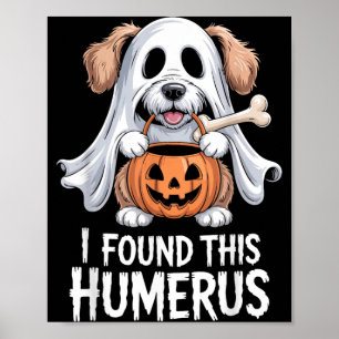 I Found This Humerus Halloween Costume 1 Poster