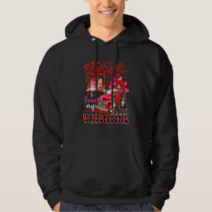 I Found Valentine Two Cute Pit Bulls Couple Gnomes Hoodie