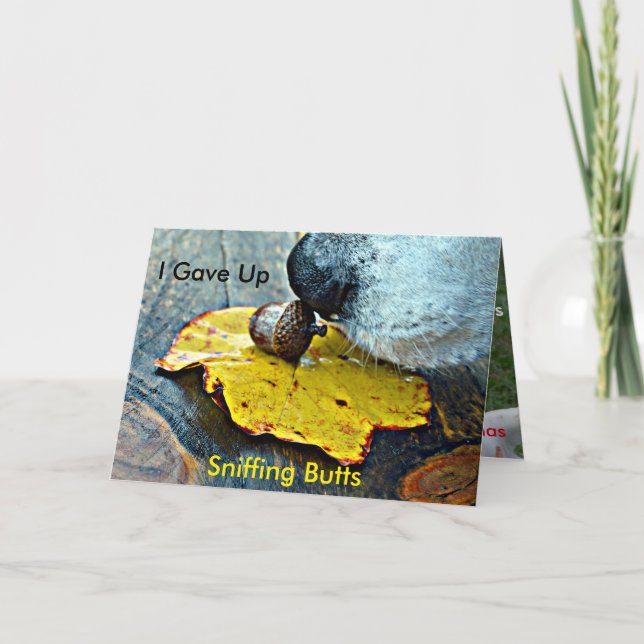 I Gave Up Sniffing Butts Christmas Card (Front)