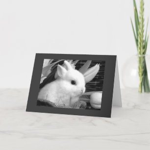 **I GET TO "SHARE CANDY" WITH YOU AT EASTER" HOLIDAY CARD