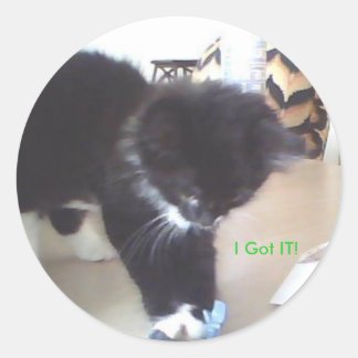 I Got IT! Classic Round Sticker