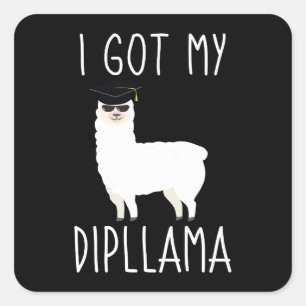 I Got My Dipllama Funny Graduation Llama Pun Gift Square Sticker