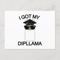 I Got My Dipllama