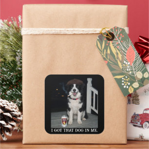 I Got That Dog In Me, Funny Border Collie Meme Square Sticker