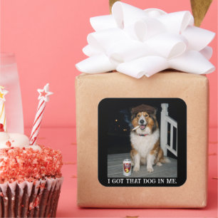 I Got That Dog In Me, Funny Collie Meme Square Sticker