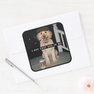 I Got That Dog In Me, Funny Golden Doodle Meme Square Sticker