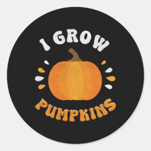 I Grow Pumpkins Thanksgiving Pregnancy Announcemen Classic Round Sticker