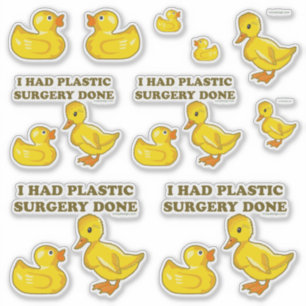 I Had Plastic Surgery Done Funny Ducks Contour Cut