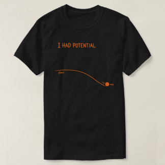 I Had Potential Funny Sarcastic Minimalist Decline T-Shirt