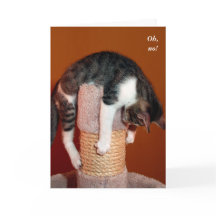 I Hang in There Humourous Cat Support Card
