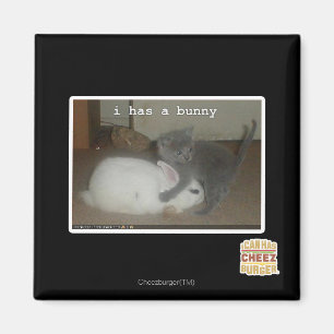 I has a bunny magnet