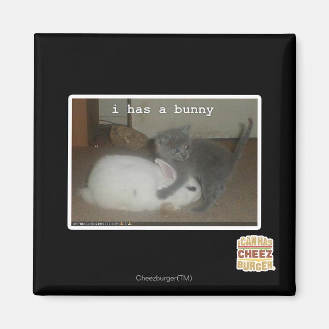 I has a bunny magnet (Front)