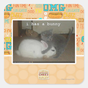 I has a bunny square sticker