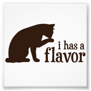 i has a flavour Kitty Cat Photo Print