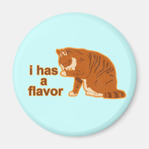 I has a flavour, LOL CAT Magnet