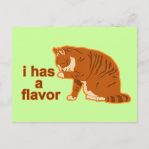 I has a flavour, LOL CAT Postcard