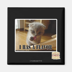 I has a flavour magnet