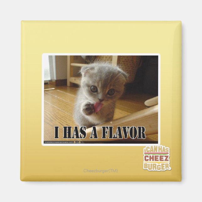 I has a flavour magnet (Front)